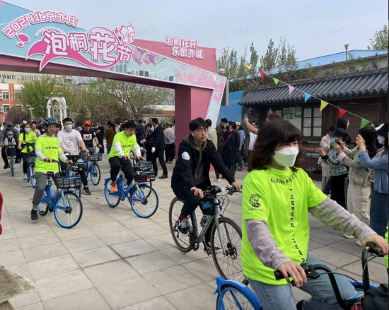 新博测速：共享单车车篮里开出鲜花 北京亦庄迎来泡桐花盛宴
